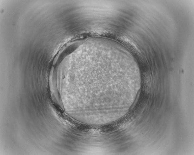 X0000088580496200706221320