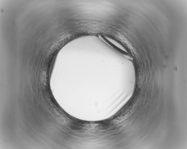 X0000088580497200706221320