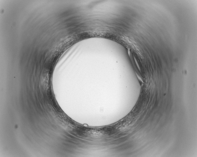 X0000088580498200706221320