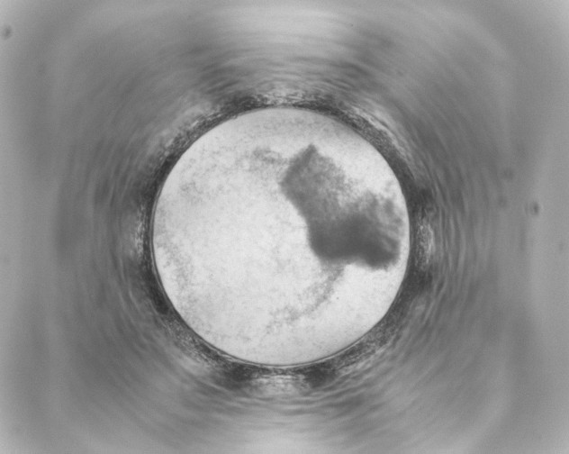 X0000088580499200706221320