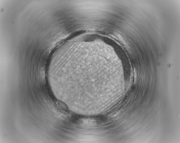 X0000088580500200706221320