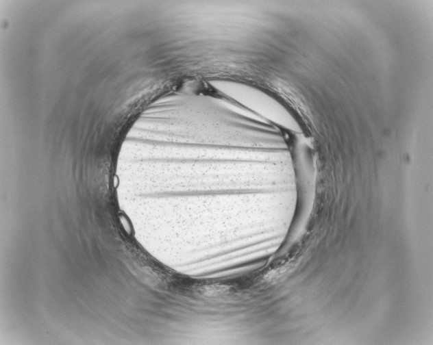 X0000088580501200706221320