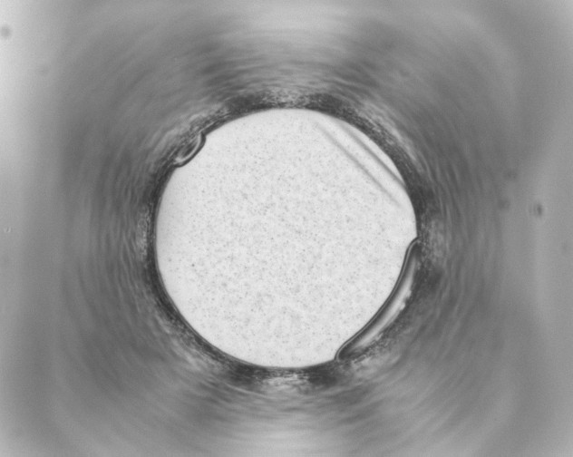 X0000088580505200706221319