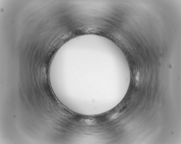 X0000088580506200706221319