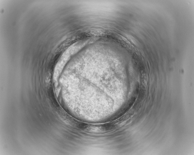 X0000088580507200706221319