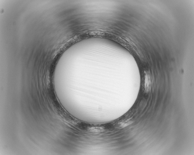 X0000088580508200706221319