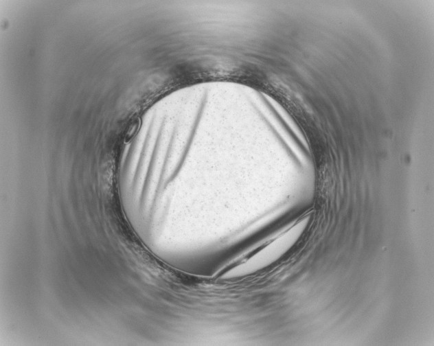 X0000088580509200706221319