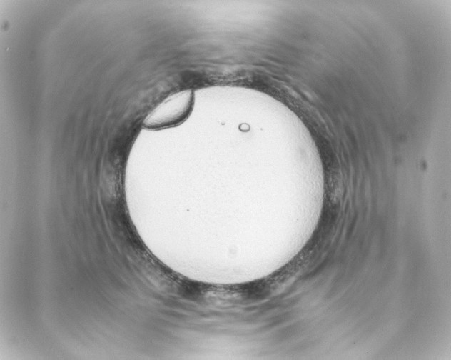 X0000088580515200706221319