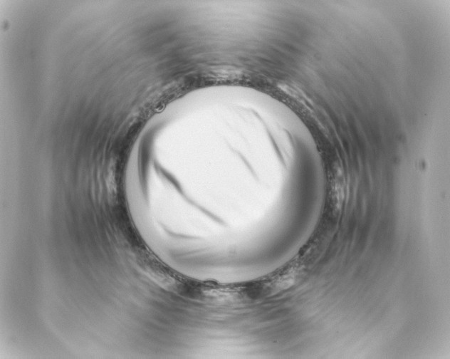 X0000088580516200706221319