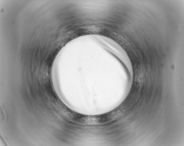 X0000088580518200706221319