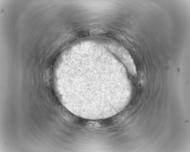 X0000088580519200706221319