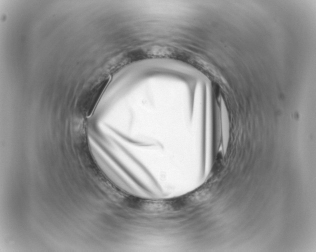 X0000088580521200706221319