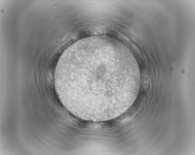 X0000088580523200706221319