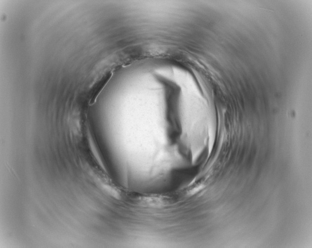 X0000088580524200706221319