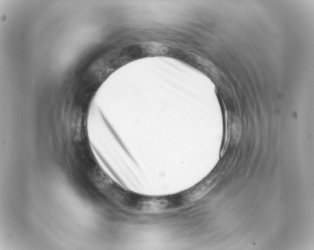 X0000088580525200706221319