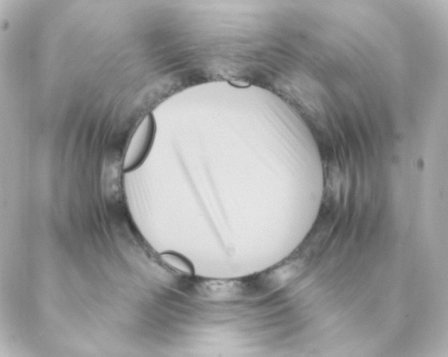 X0000088580526200706221319