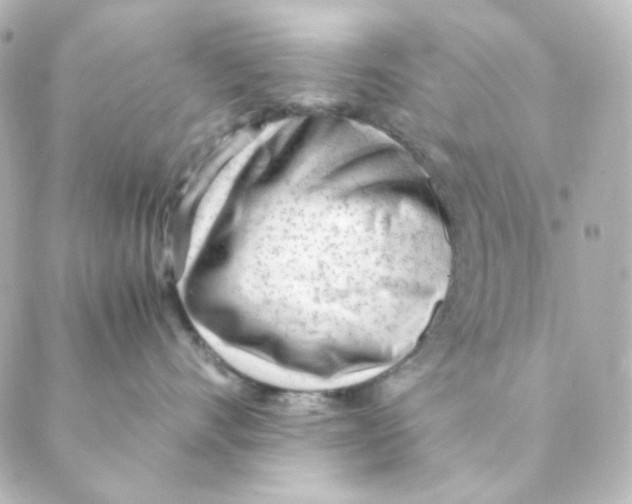 X0000088580528200706221319