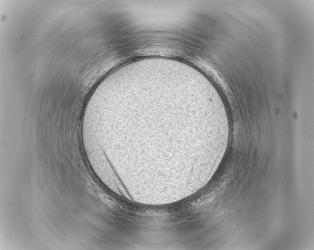 X0000088580529200706221318