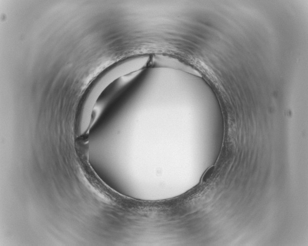 X0000088580530200706221318