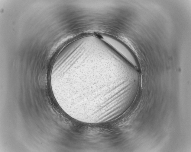 X0000088580531200706221318