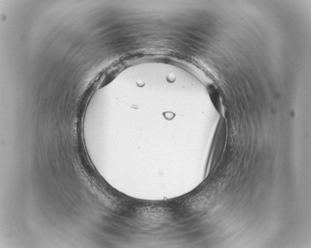 X0000088580535200706221318