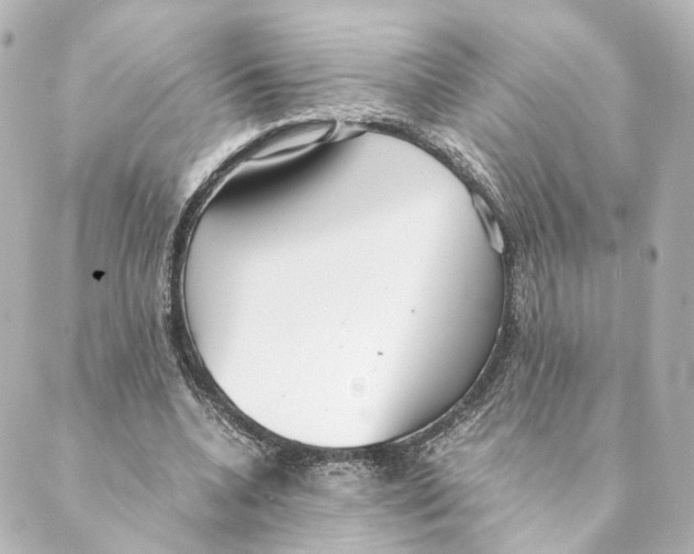 X0000088580536200706221318