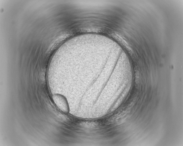 X0000088580537200706221318