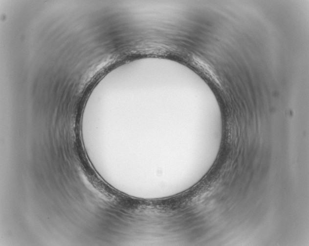 X0000088580538200706221318