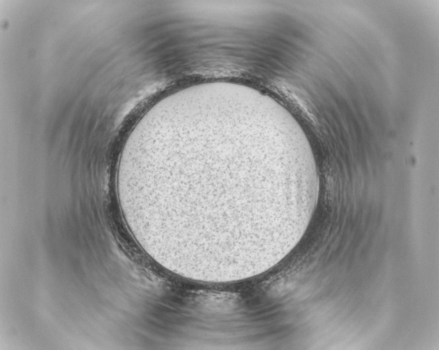 X0000088580539200706221318