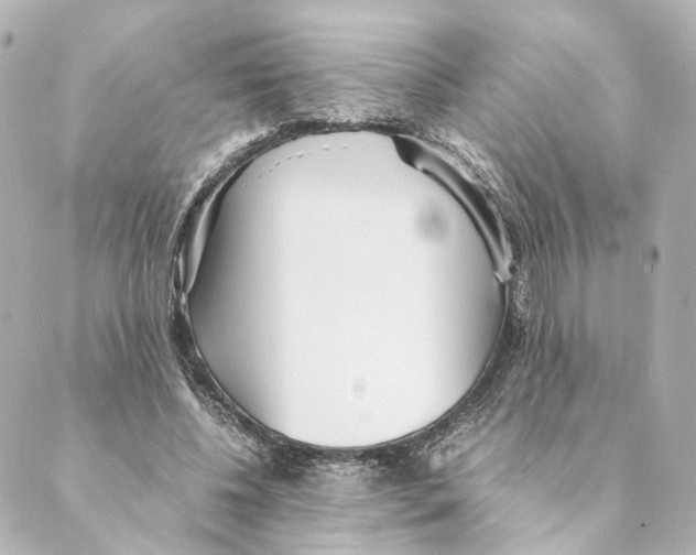 X0000088580540200706221318