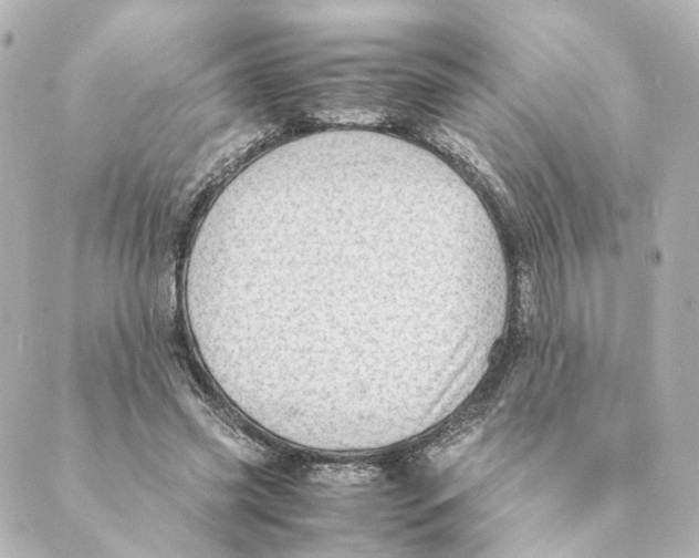 X0000088580541200706221318