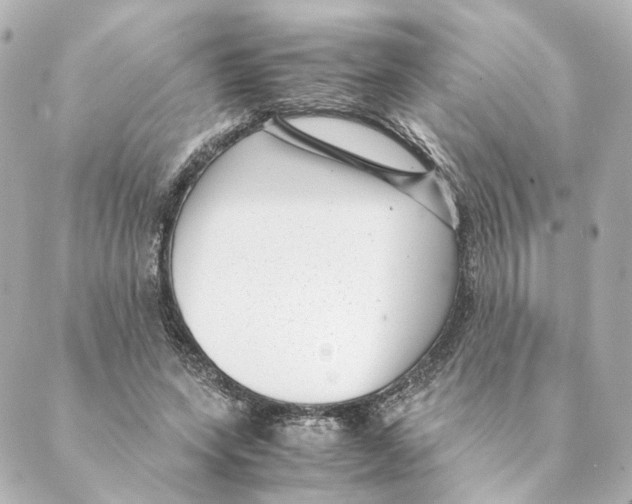 X0000088580543200706221319