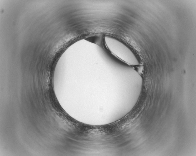 X0000088580544200706221319