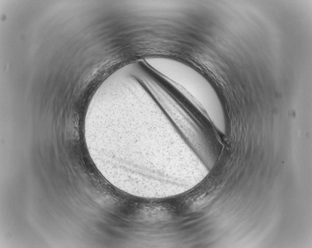 X0000088580547200706221319