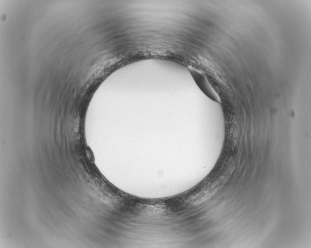 X0000088580548200706221319