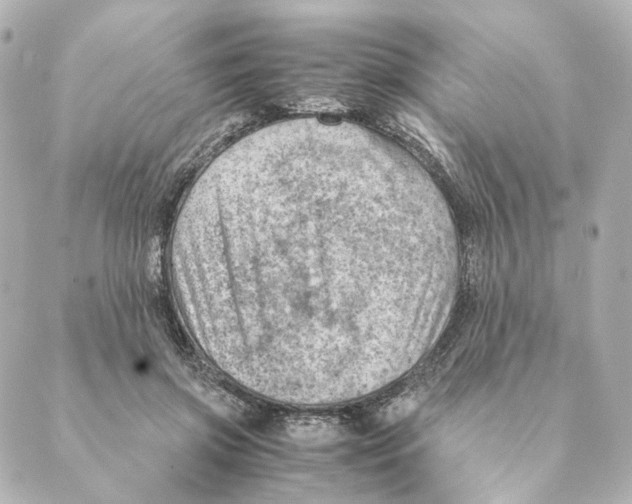 X0000088580549200706221319