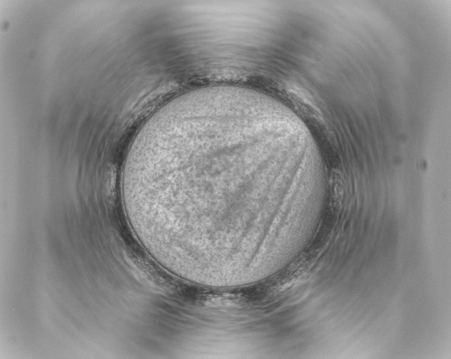 X0000088580550200706221319