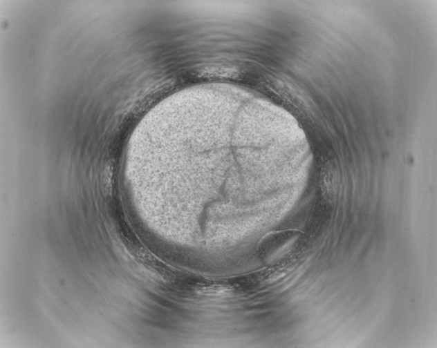 X0000088580551200706221319