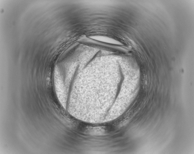 X0000088580553200706221319