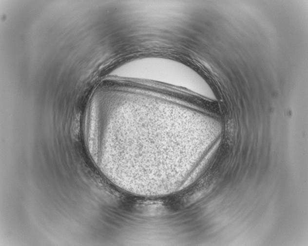 X0000088580554200706221319