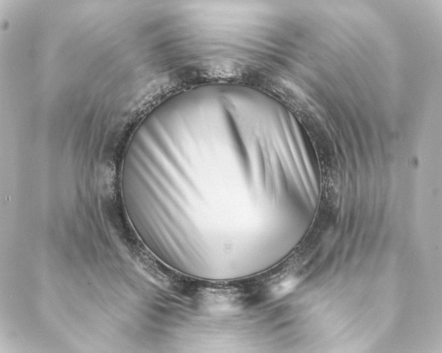 X0000088580556200706221319