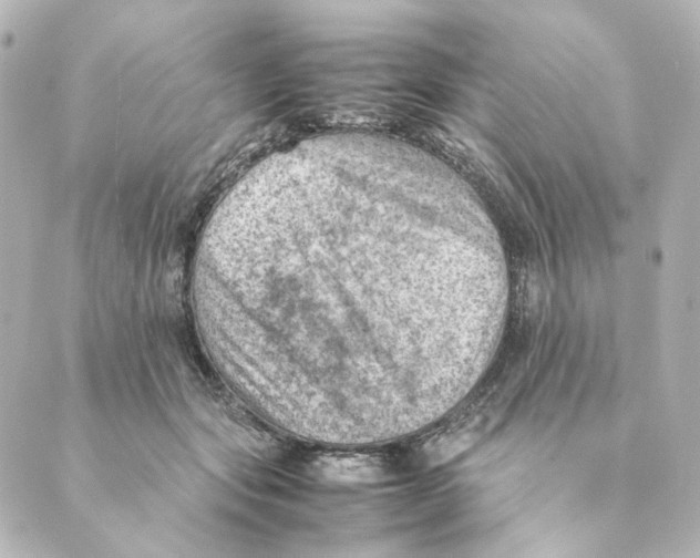 X0000088580557200706221319