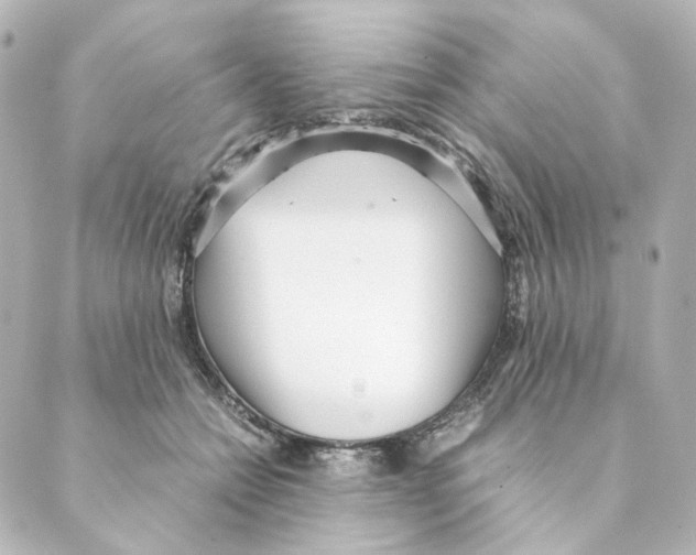 X0000088580558200706221319