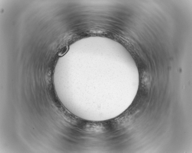 X0000088580559200706221319