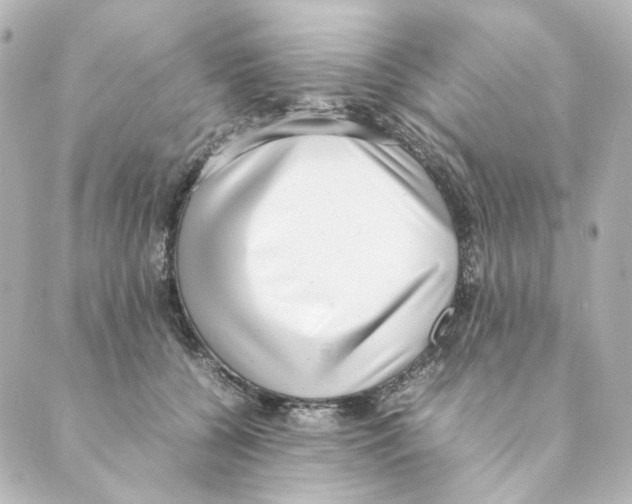 X0000088580560200706221319