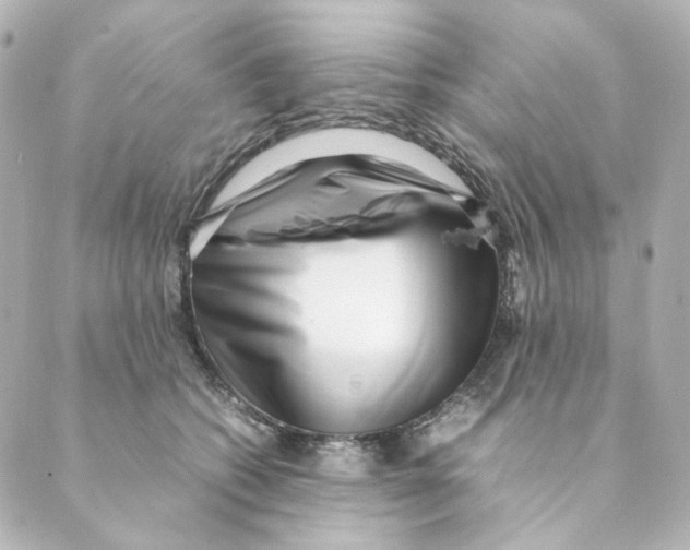 X0000088580562200706221319