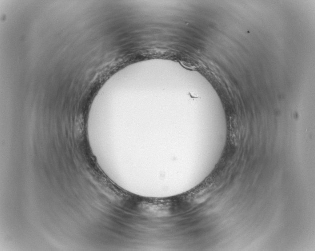 X0000088580563200706221319