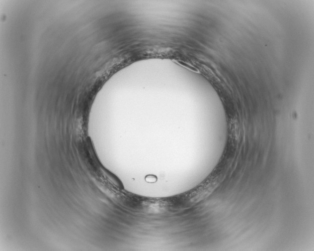 X0000088580564200706221319