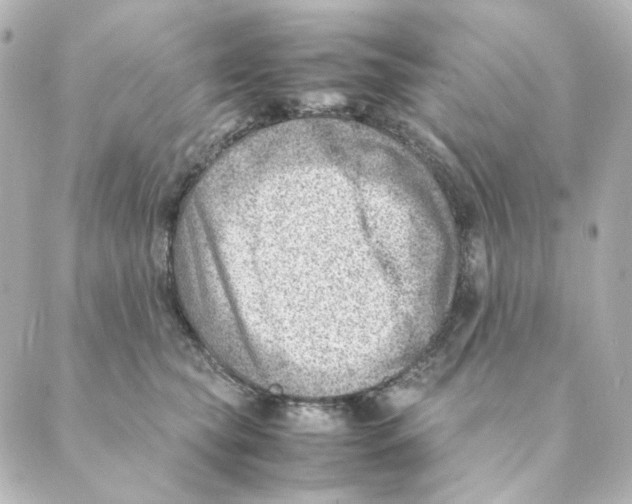 X0000088580565200706221319