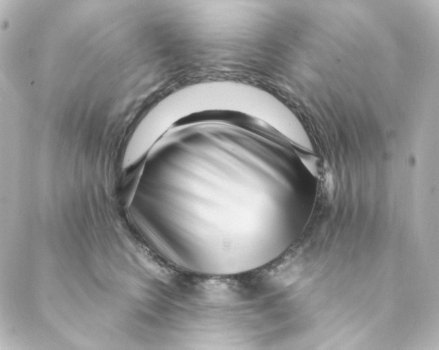 X0000088580566200706221319